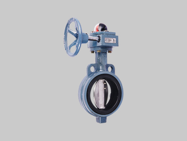 Butterfly Valve