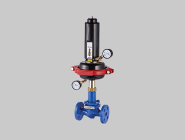 Differential Pressure Control Valve