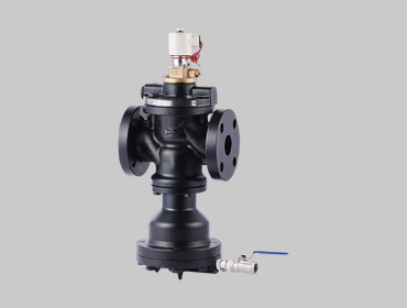 Temperature Control Valve for Steam
