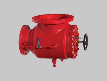 Triple Duty Check Valve Angle Type