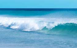 Handheld Digital Refractometer PCE-DRS 1 Salinity